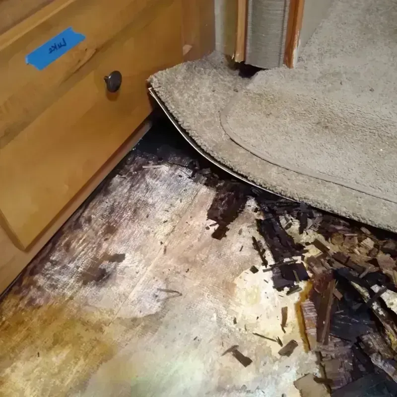 Wood Floor Water Damage in Yakima County, WA